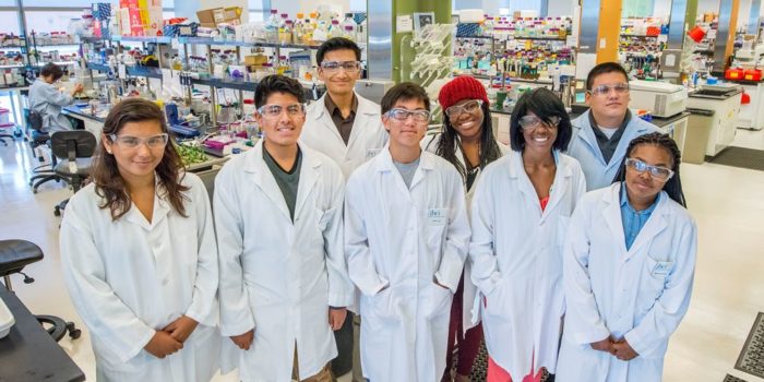 the iclem program an atypical summer job for bay area high summer job opportunities for high school students