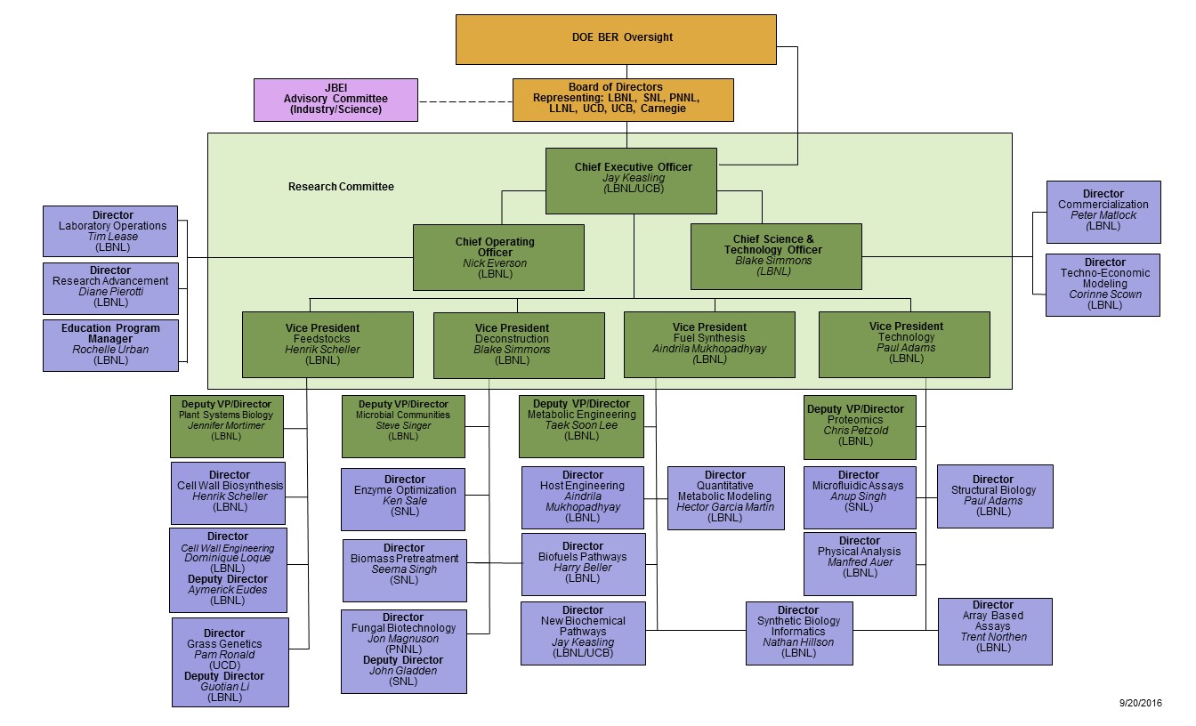 Youtube Girl Chart