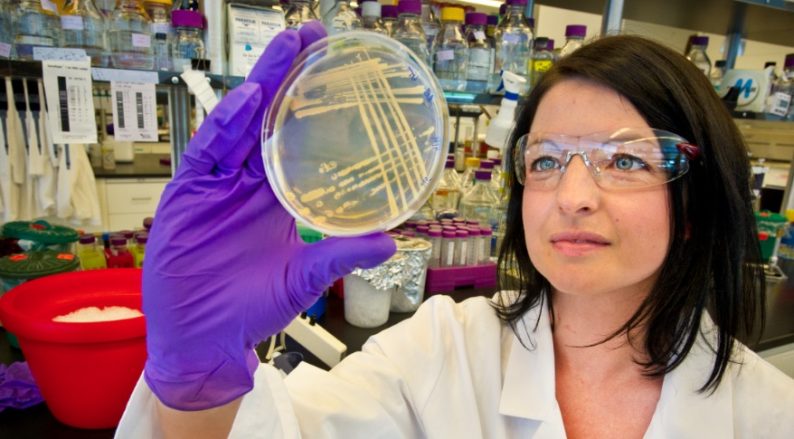 news: From Soil Microbe to Super-Efficient Biofuel Factory?