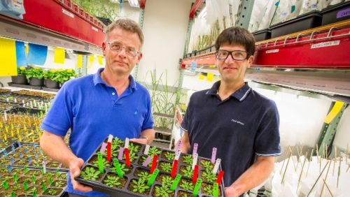 news: New Lab Startup Afingen Uses Precision Method to Enhance Plants