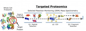 Schematic of targeted proteomics technique in which a peptide mass and a specific fragment mass are selected for SRM mass spectrometry analysis to identify and quantify a target protein. (Image from Christopher Petzold) 