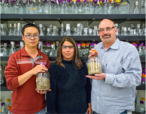 biofuels-blend-right-in