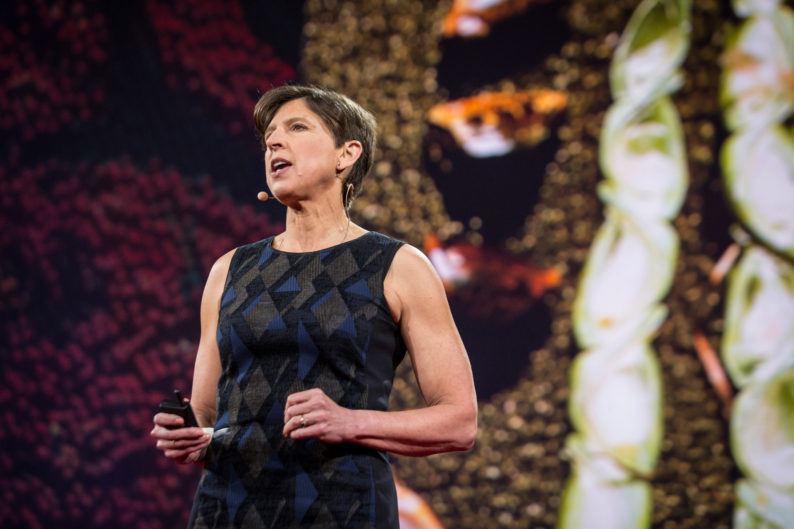 news: TED talk by JBEI’s Director of Grass Genetics Pam Ronald