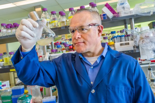 news: Keasling to Receive 2017 Amgen Biochemical and Molecular Engineering Award