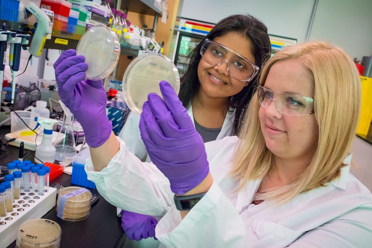 news: Boosting Biogasoline Production in Microbes