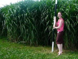 corine scown photo 1