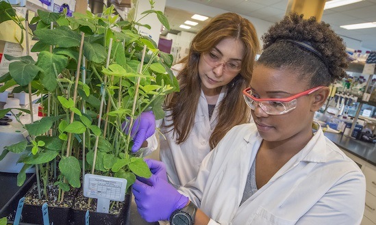 news: Biotech Partners high school students intern at JBEI