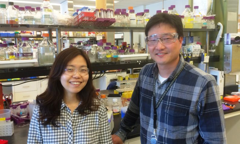 news: JBEI Invention Leads to More Efficient Biofuel Production for Industrial Application