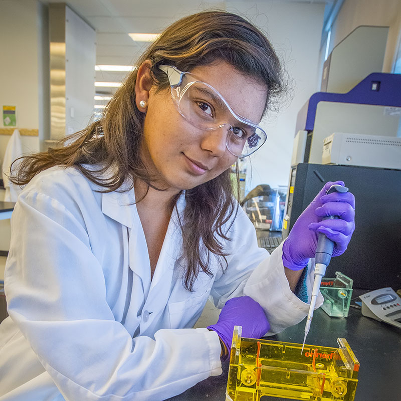 iCLEM 2014 High School Students at JBEI (Joint BioEnergy Institute) - student working photos - Karen Ochoa.