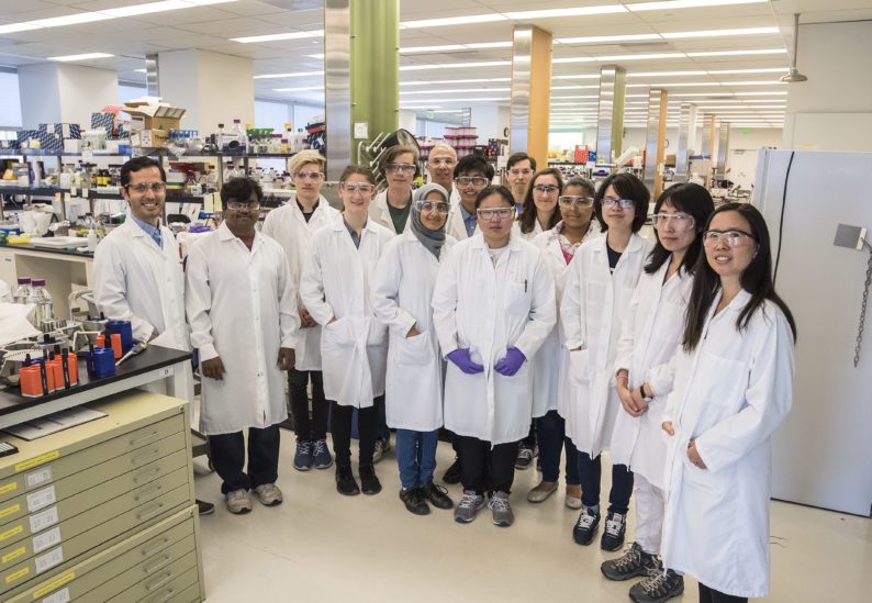 news: JBEI high school interns win two Biotech Partners awards
