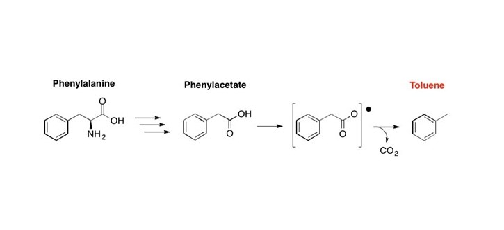 news: JBEI scientists explore novel enzyme for aromatic biofuel synthesis