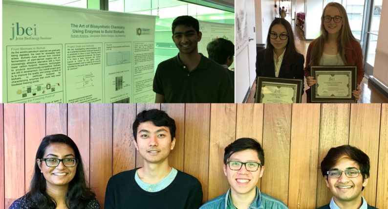 news: JBEI Holds Fall Undergraduate Poster Session