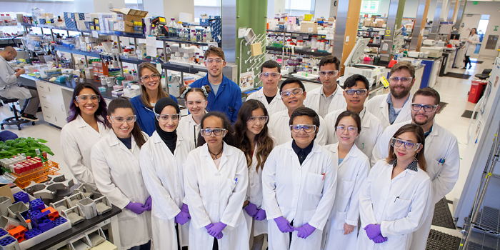 news: iCLEM Cohort Concludes Summer Research at JBEI