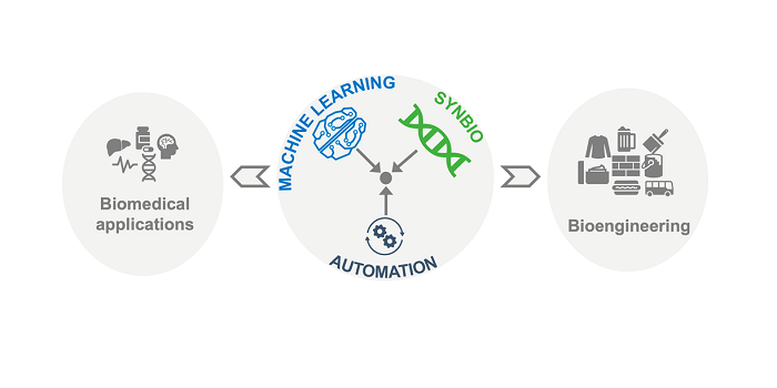 news: More Investment Needed for Machine Learning for Bioengineering