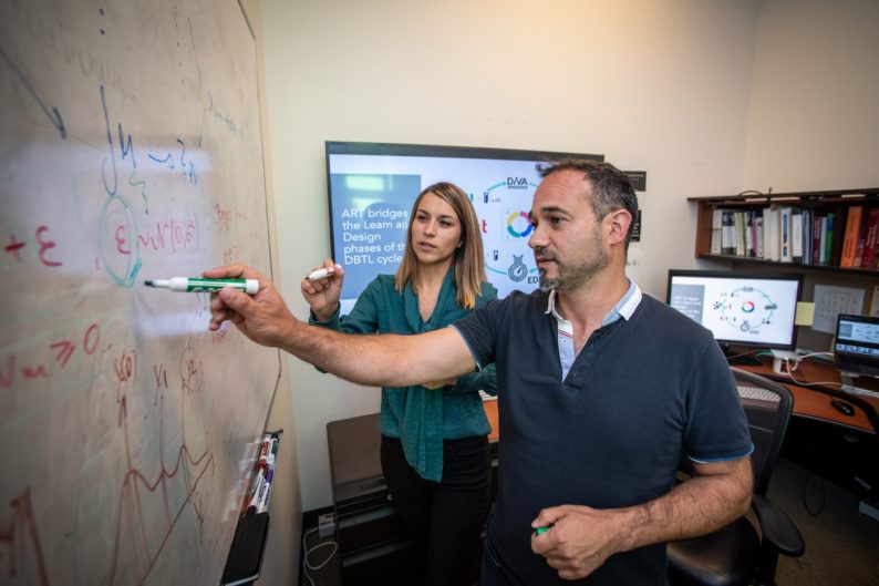 Tijana Radivojevic (left) and Hector Garcia Martin working on mechanical and statistical modeling, data visualizations, and metabolic maps at the Agile BioFoundry last year. (Credit: Thor Swift/Berkeley Lab)