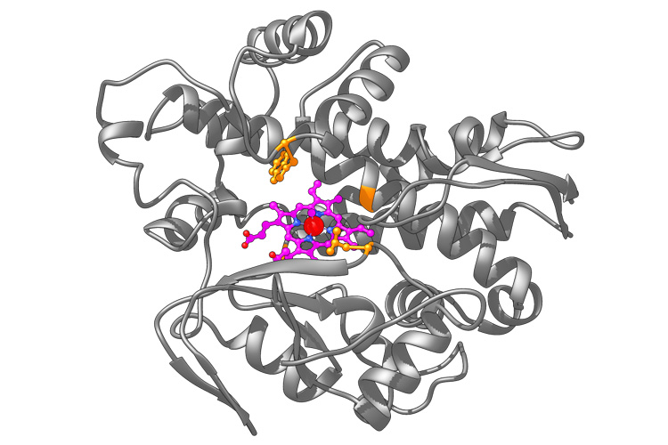 news: A New Way to Make Chemicals Not Found in Nature