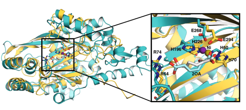 visit page Structural Biology