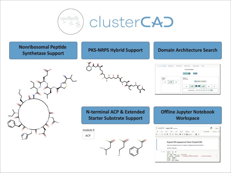 Latest News: Online Tool Can Help Researchers Synthesize Millions of Molecules