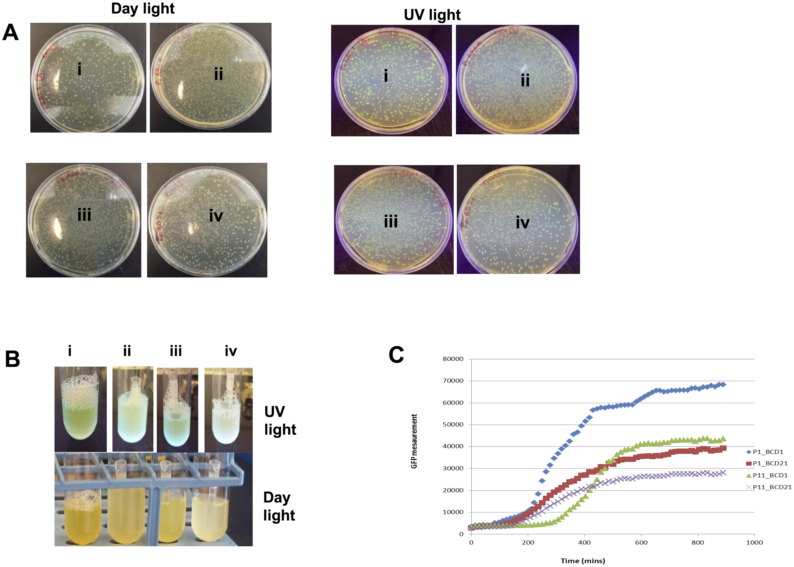 news: Repurposing a microfluidic formulation device for automated DNA construction