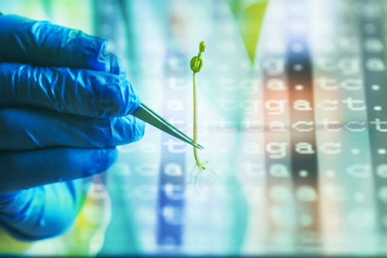 latest news: Scientists Build 'Speed Scanner' to Test Thousands of Plant Gene Switches at Once