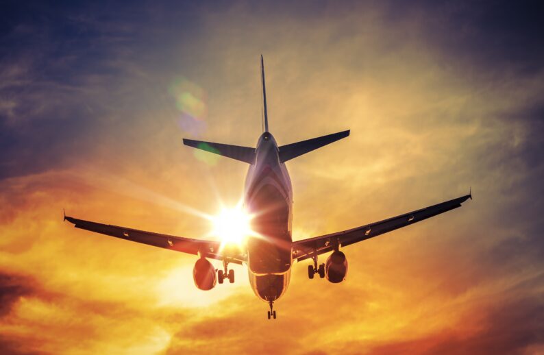 Latest News: An Oil-Accumulating Yeast Could Help Make Next-Generation Aviation Fuels